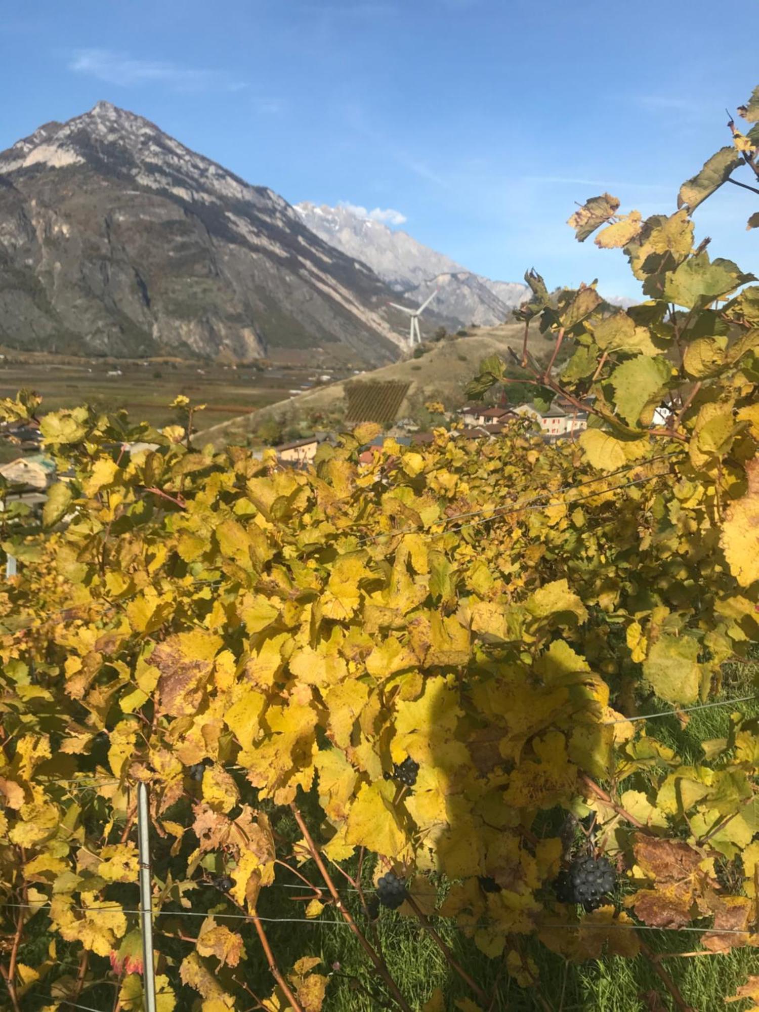 Studio Martigny Taou Екстер'єр фото